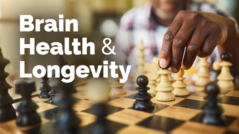 Aladdin Shadyab Public Lecture slide